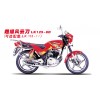 凌肯摩托LK125-8D（超級風(fēng)云刀）