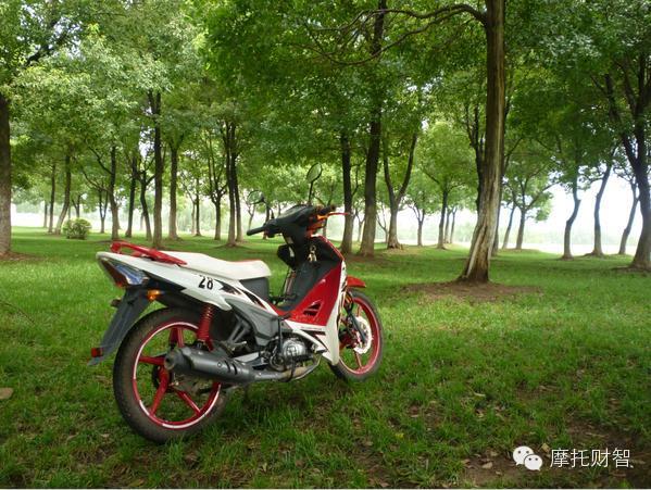 點(diǎn)擊瀏覽下一頁