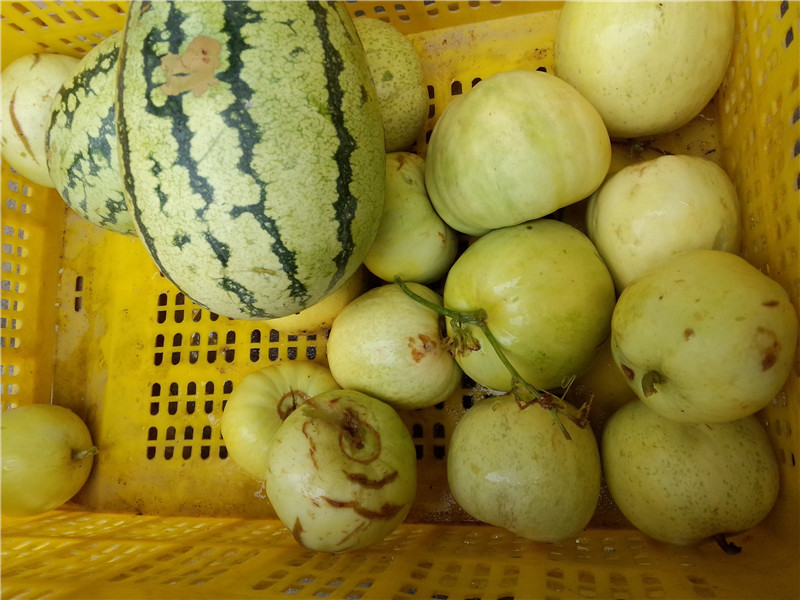 點(diǎn)擊瀏覽下一頁(yè)