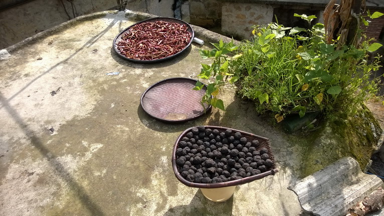 點(diǎn)擊瀏覽下一頁(yè)