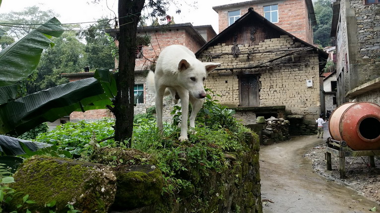點(diǎn)擊瀏覽下一頁(yè)