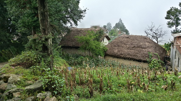 點(diǎn)擊瀏覽下一頁(yè)