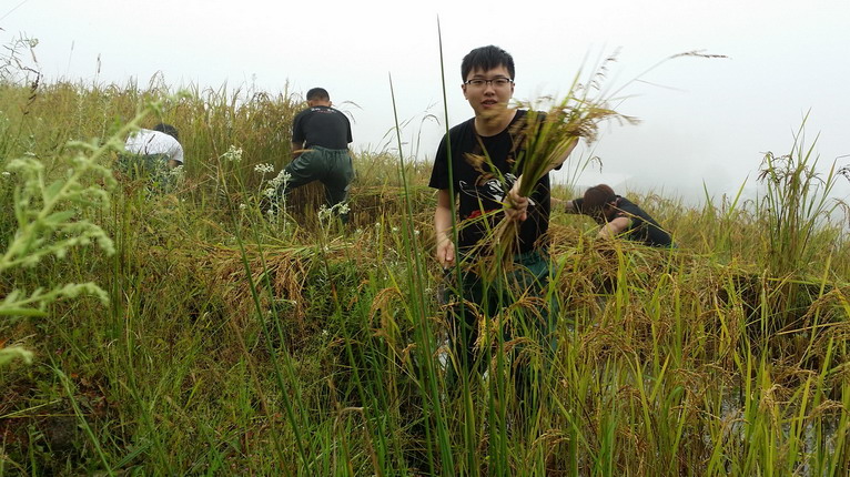點(diǎn)擊瀏覽下一頁(yè)