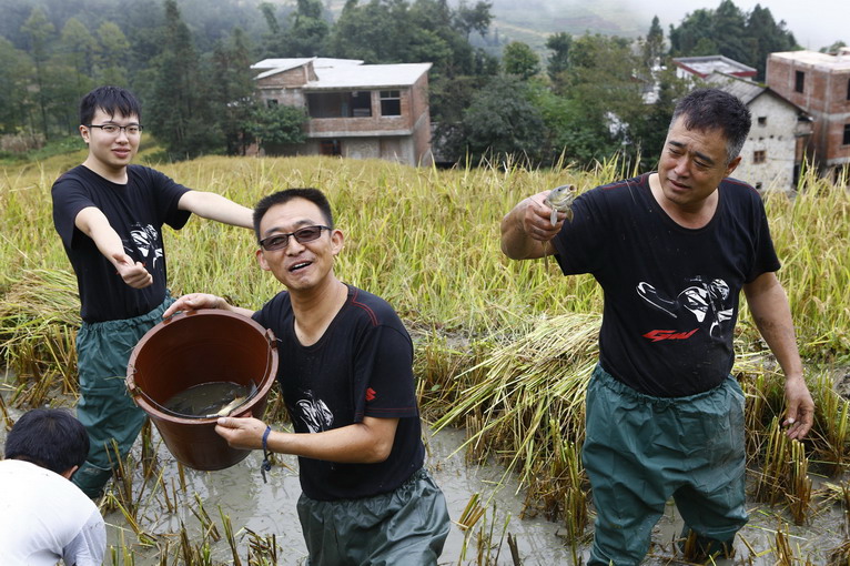 點(diǎn)擊瀏覽下一頁(yè)