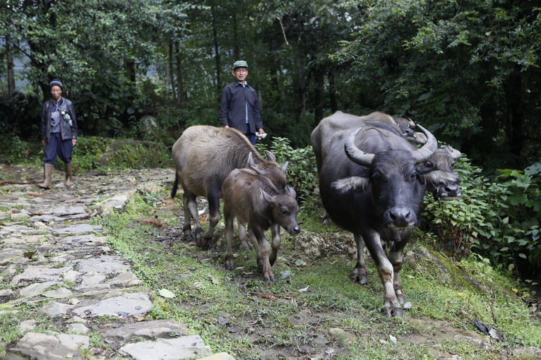 點(diǎn)擊瀏覽下一頁(yè)