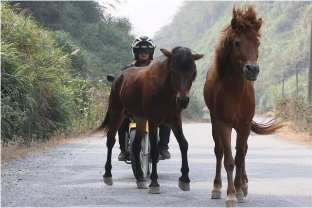 點(diǎn)擊瀏覽下一頁