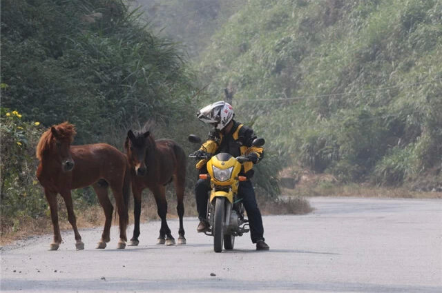 點(diǎn)擊瀏覽下一頁
