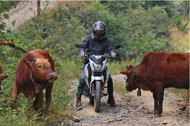 點(diǎn)擊瀏覽下一頁