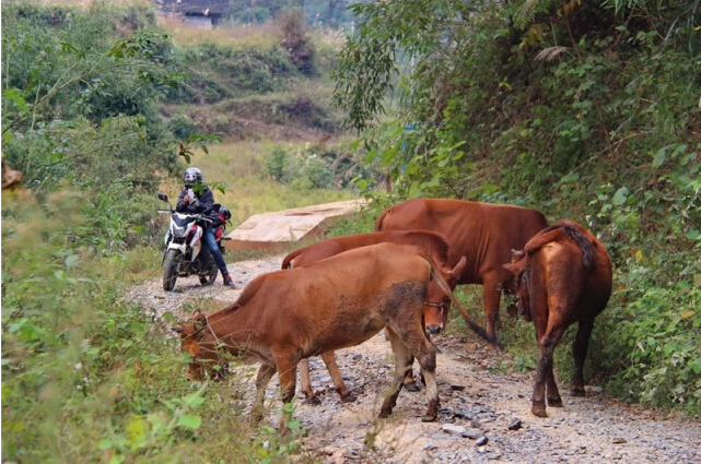 點(diǎn)擊瀏覽下一頁