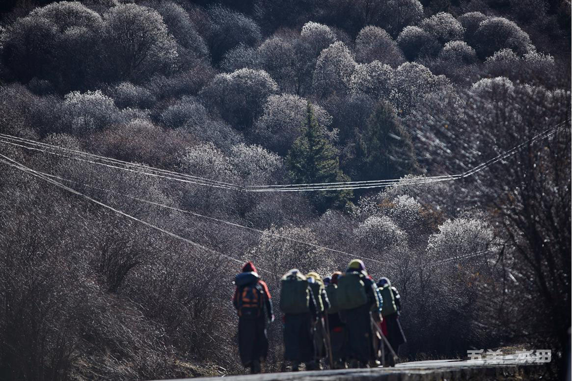 點(diǎn)擊瀏覽下一頁