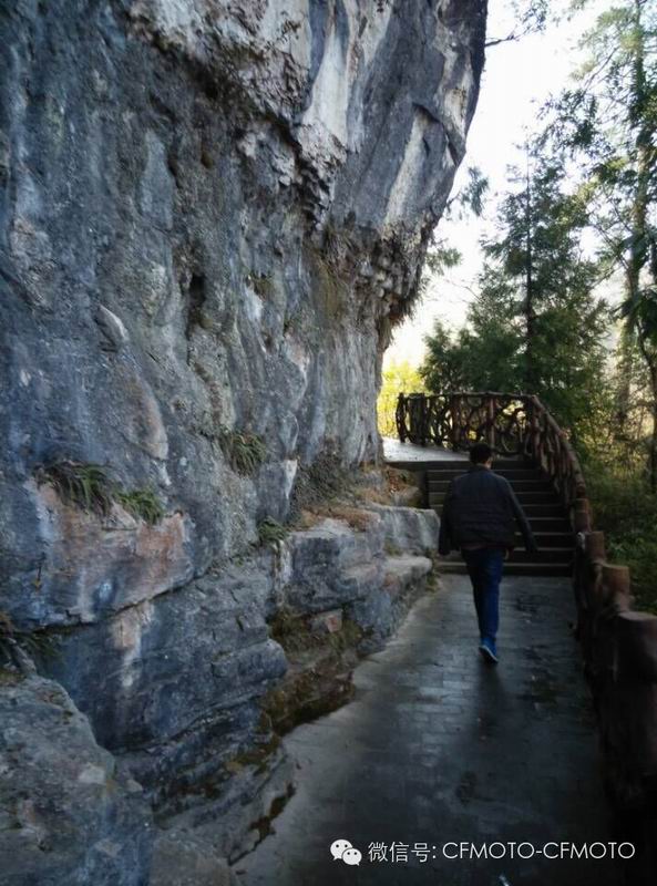 點(diǎn)擊瀏覽下一頁