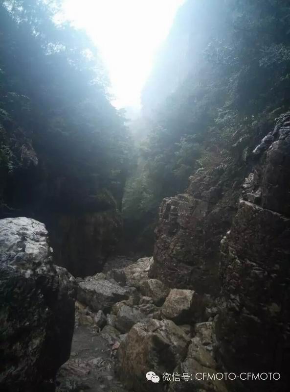 點(diǎn)擊瀏覽下一頁