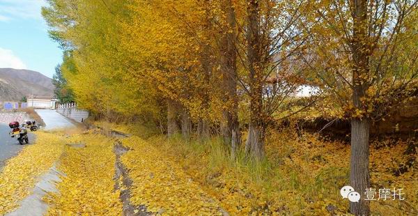 點(diǎn)擊瀏覽下一頁