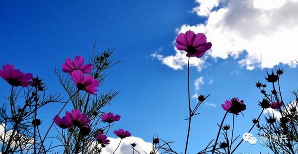 點(diǎn)擊瀏覽下一頁