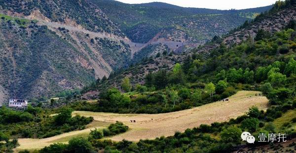 點(diǎn)擊瀏覽下一頁