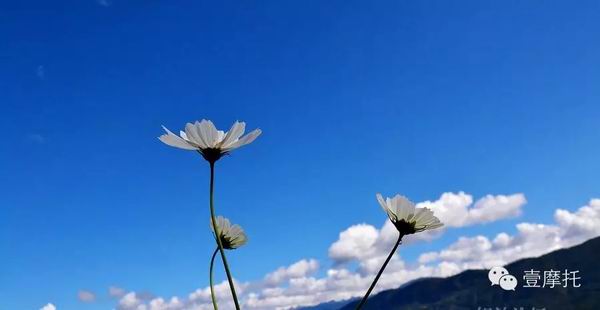 點(diǎn)擊瀏覽下一頁