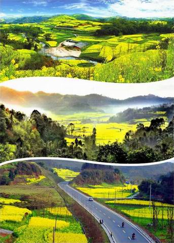 點擊瀏覽下一頁