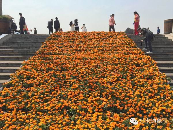 點(diǎn)擊瀏覽下一頁