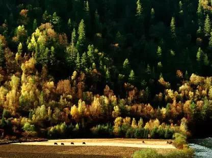 點(diǎn)擊瀏覽下一頁(yè)