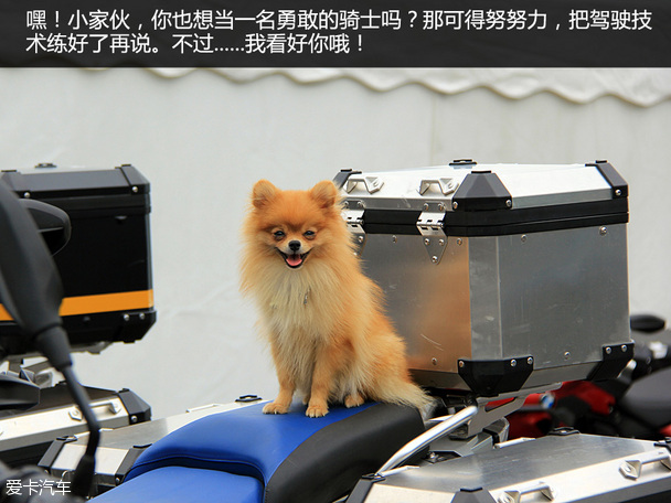 重塑騎士精神 記第2屆寶馬摩托車文化節(jié)