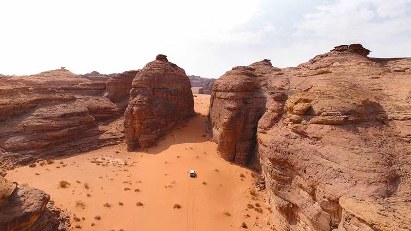 #2020年達(dá)喀爾拉力賽#的知識點(diǎn)