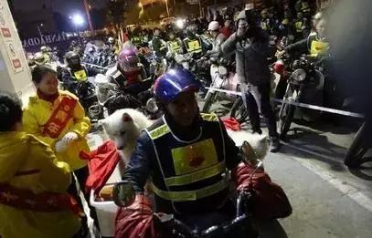 春運(yùn)摩托車大軍中主人給狗狗留個(gè)位置，養(yǎng)十年了，帶它回家過(guò)年