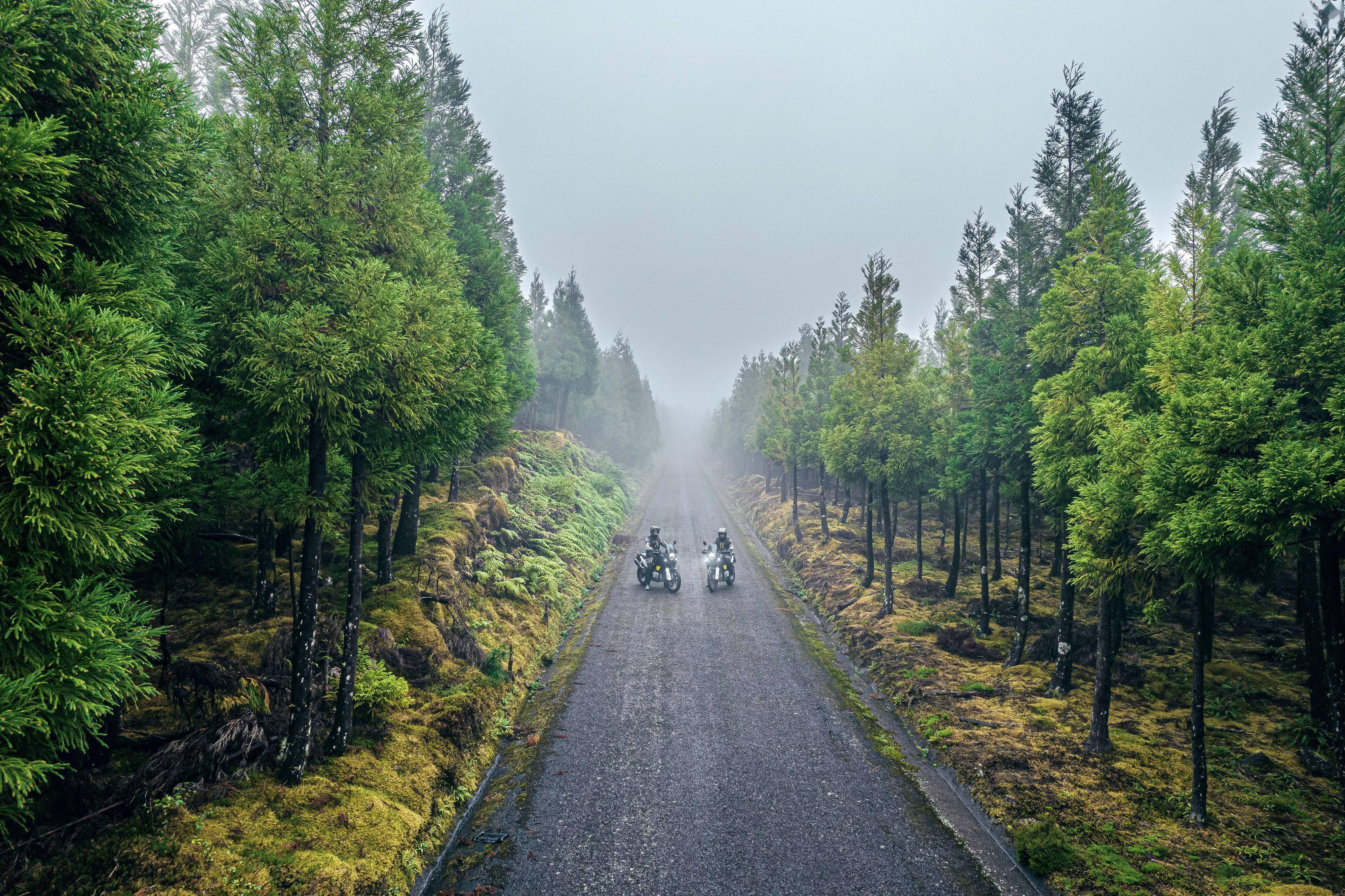 點擊進入看圖評論