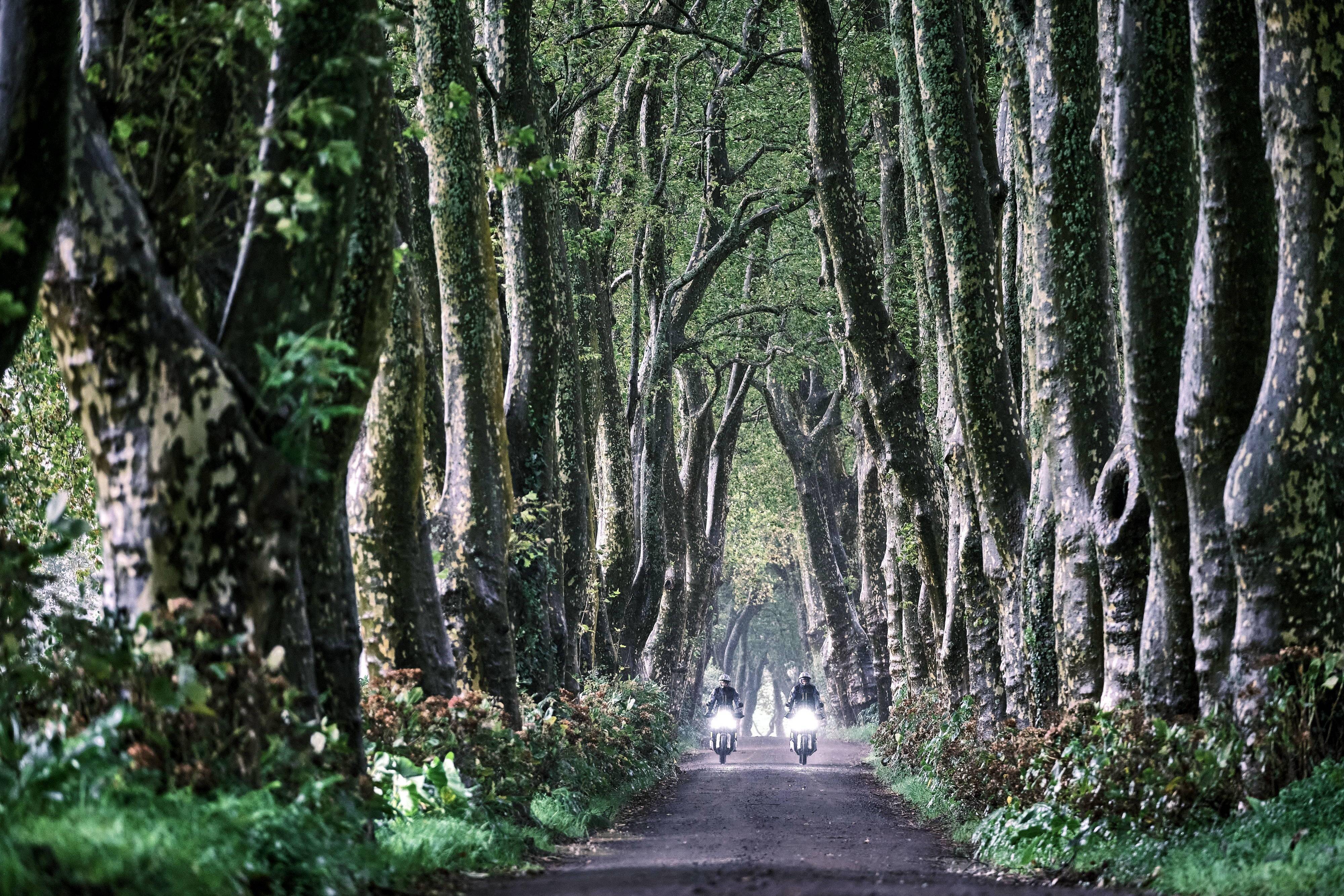 點擊進入看圖評論